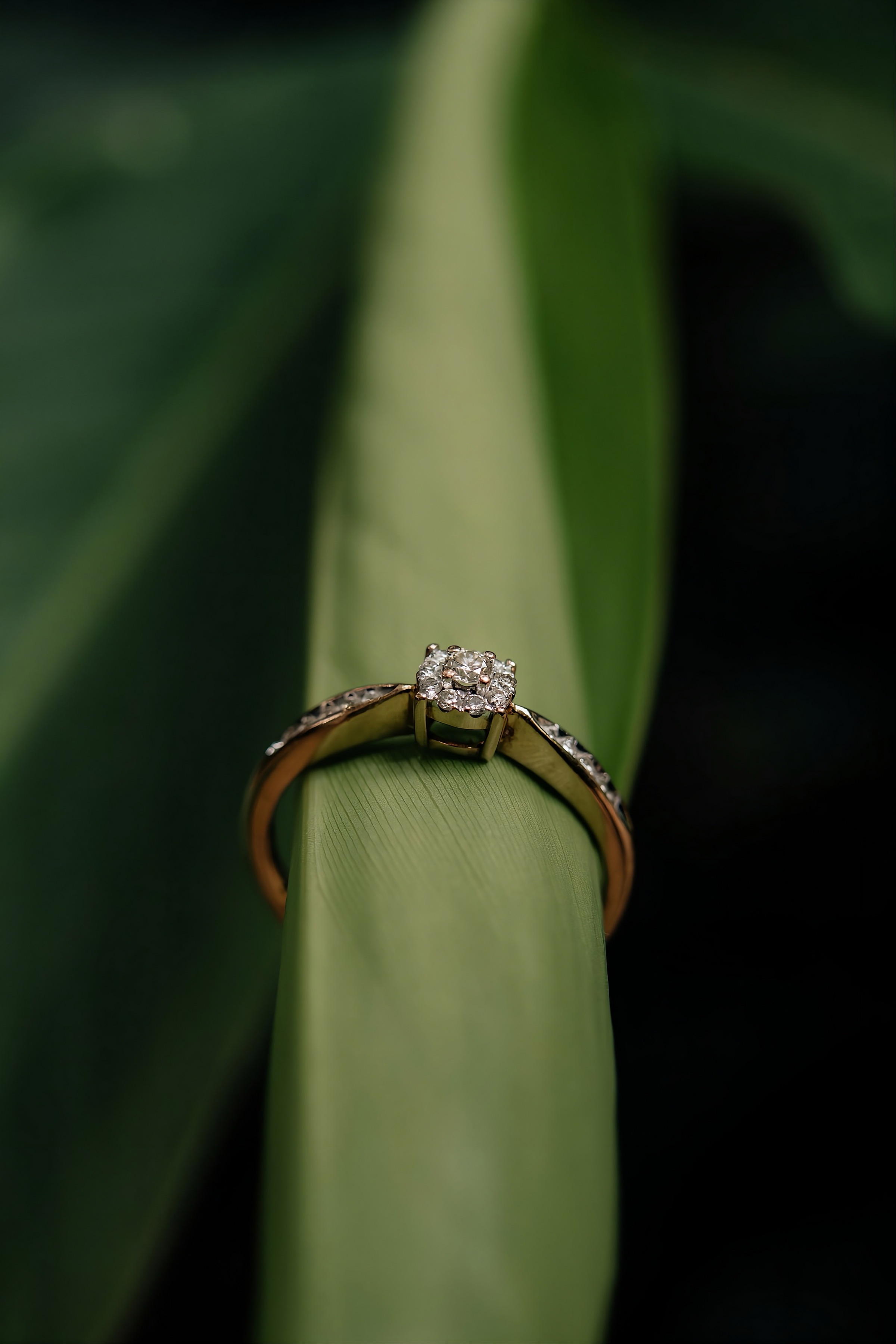 Fotografía de boda