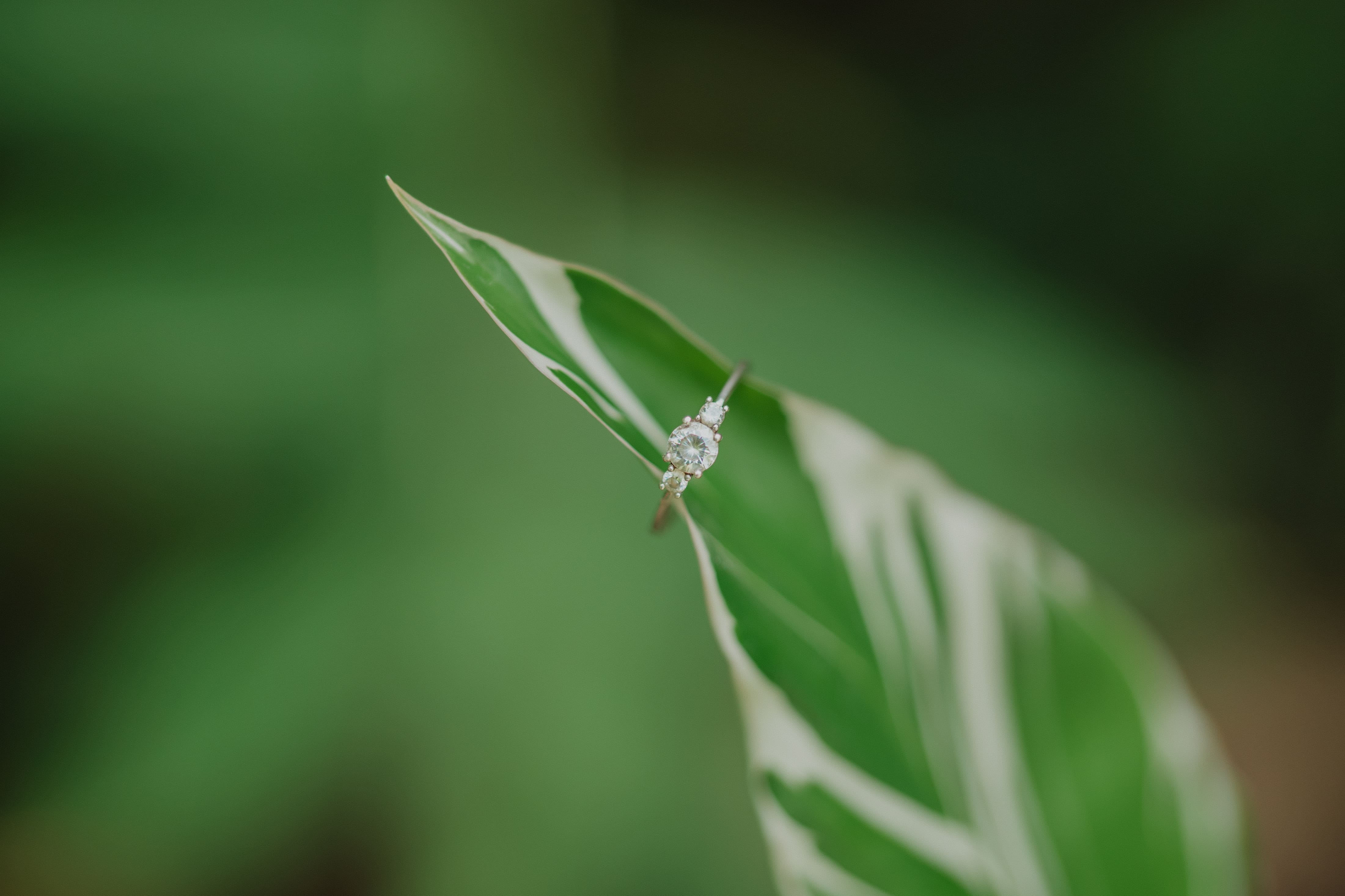 Fotografía de boda